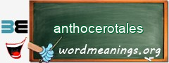 WordMeaning blackboard for anthocerotales